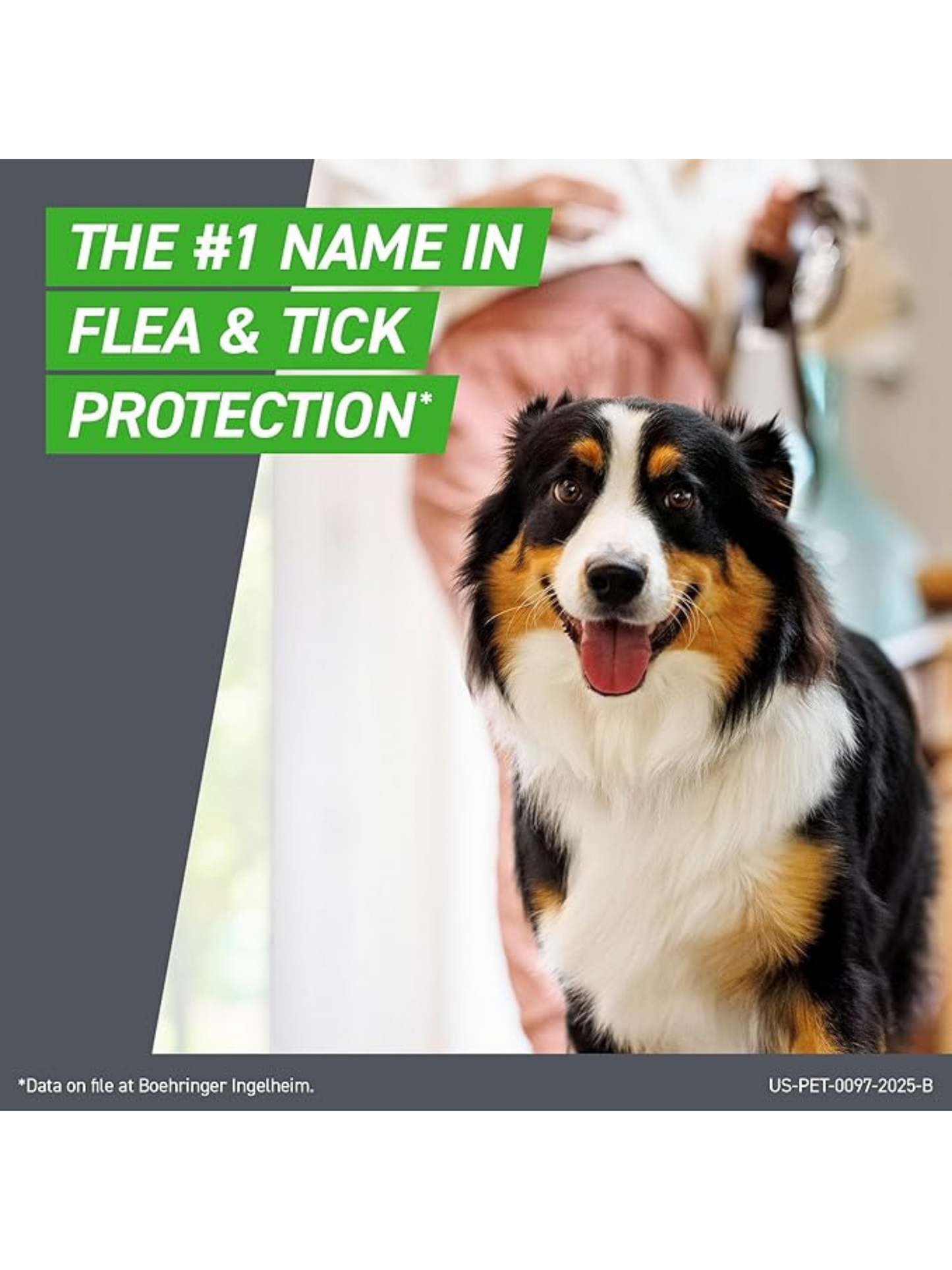 Frontline Plus for Small Dogs (5–22 lbs) – Flea & Tick Treatment | 3-Month Supply