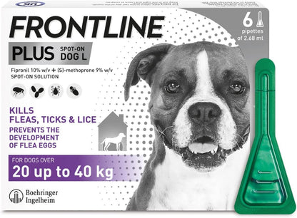 Frontline for Dogs | Flea & Tick Treatment