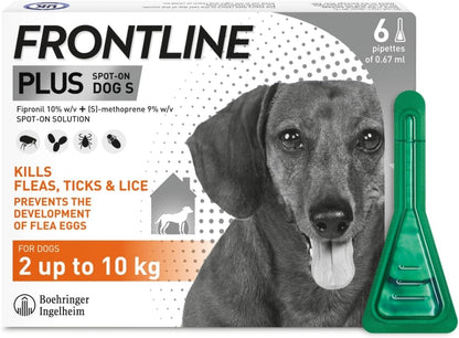 Frontline for Dogs | Flea & Tick Treatment